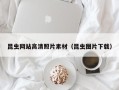 枣阳昆虫网站高清照片素材（昆虫图片下载）
